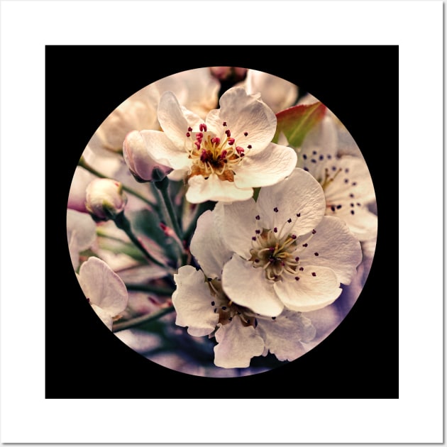 Blossoms at Dusk Wall Art by micklyn